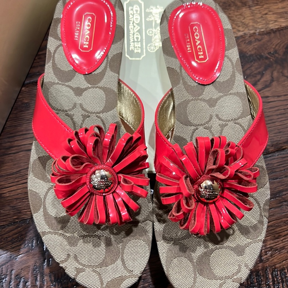 Coach Red slides